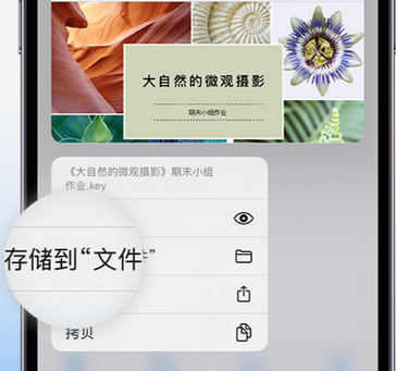 乐东apple维修中心分享iPhone文件应用中存储和找到下载文件