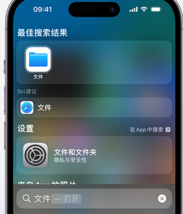 乐东apple维修中心分享iPhone文件应用中存储和找到下载文件 