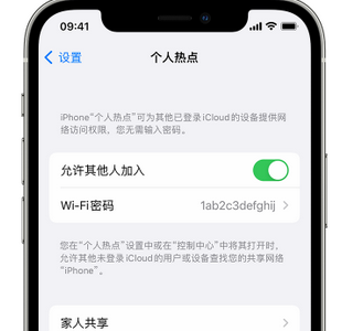 乐东apple服务站点分享iPhone上个人热点丢失了怎么办