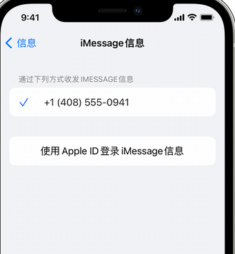 乐东apple维修iPhone上无法正常发送iMessage信息