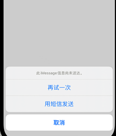 乐东apple维修iPhone上无法正常发送iMessage信息