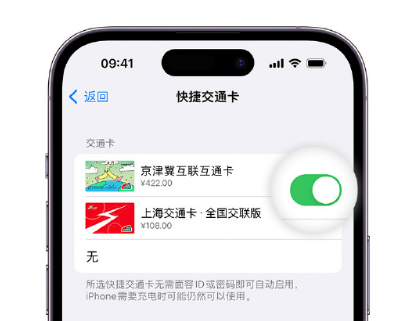 乐东apple维修点分享iPhone上更换Apple Pay快捷交通卡手绘卡面 