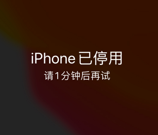 乐东苹果手机维修分享:iPhone 显示“不可用”或“已停用”怎么办？还能保留数据吗？ 