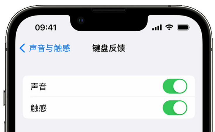 乐东苹果手机维修分享iPhone 14触感键盘使用方法 