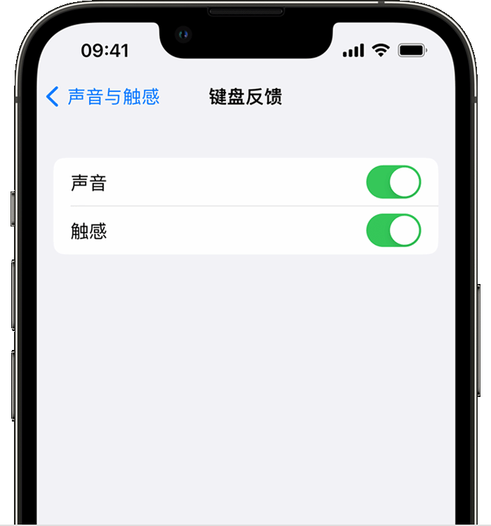 乐东苹果14维修店分享如何在 iPhone 14 机型中使用触感键盘 