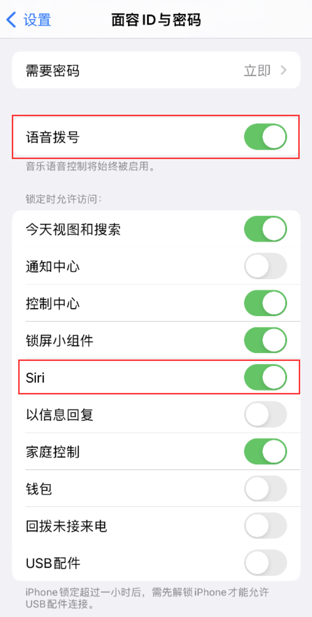 乐东苹果维修网点分享不解锁 iPhone 的情况下通过 Siri 拨打电话的方法 