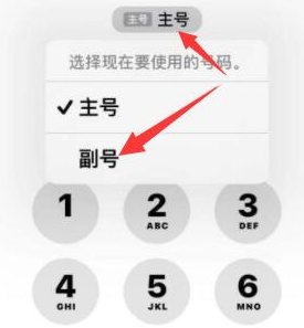 乐东苹果14维修店分享iPhone 14 Pro Max使用副卡打电话的方法 