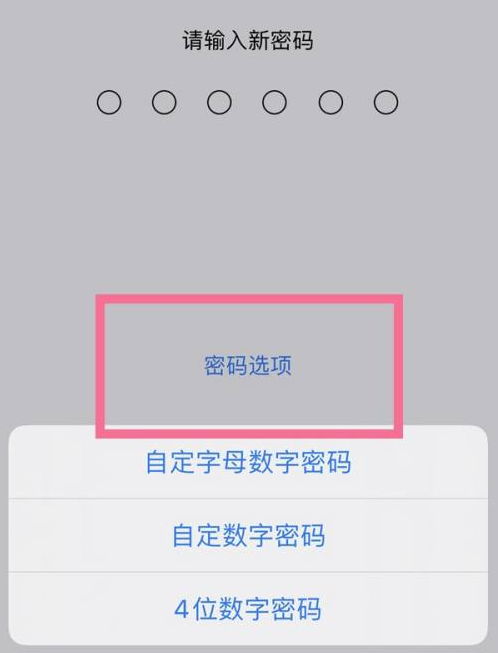 乐东苹果14维修分享iPhone 14plus设置密码的方法 