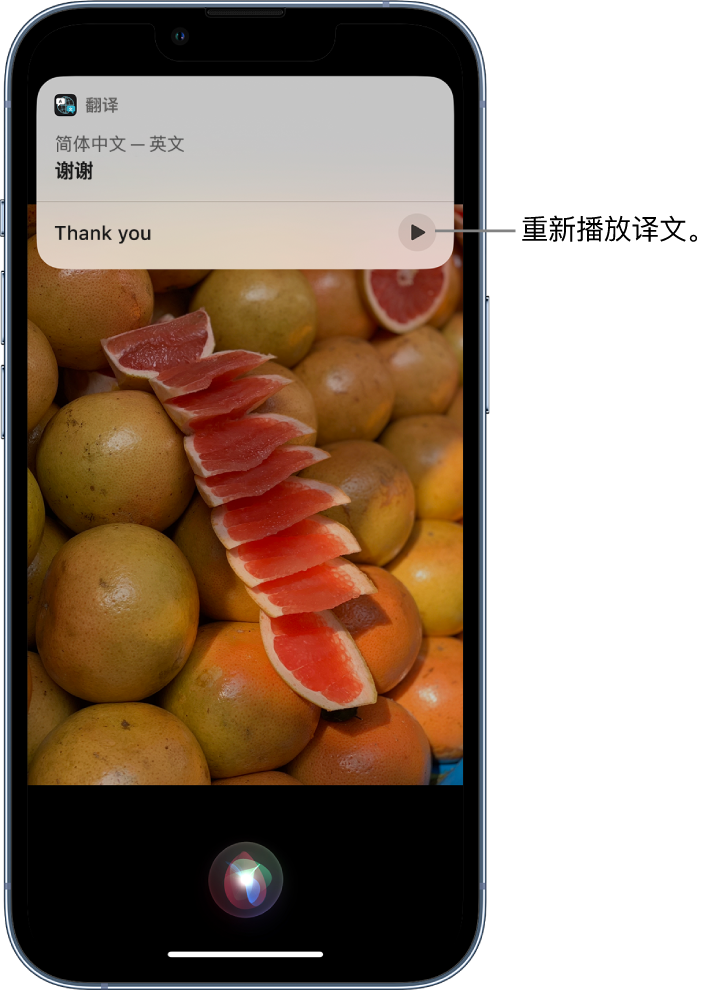 乐东苹果14维修分享 iPhone 14 机型中使用 Siri：了解 Siri 能帮你做什么 