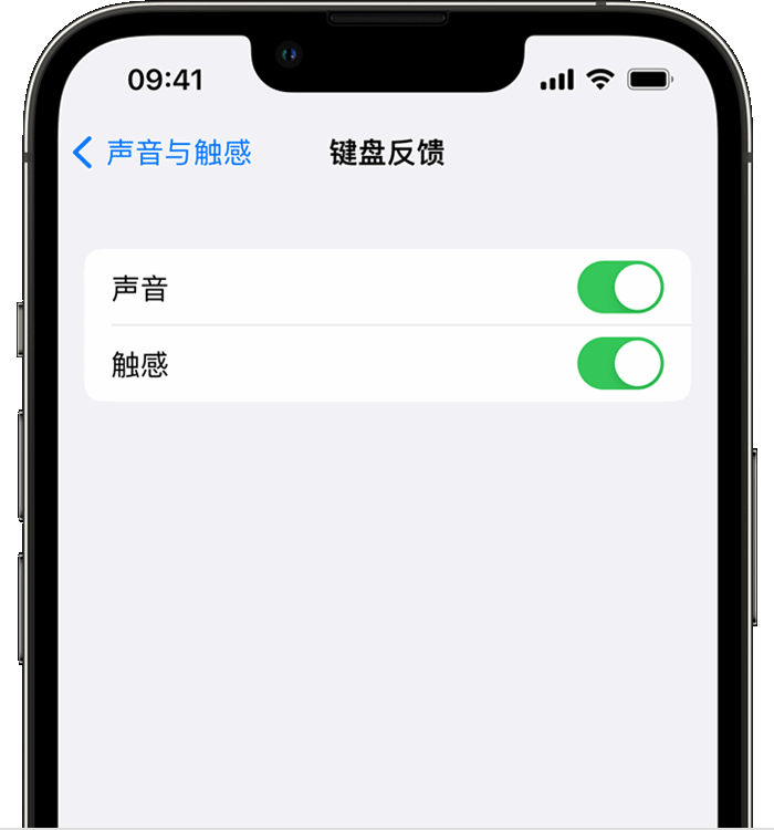 乐东苹果14维修分享iPhone 14 系列机型如何开启键盘声音或触感反馈 