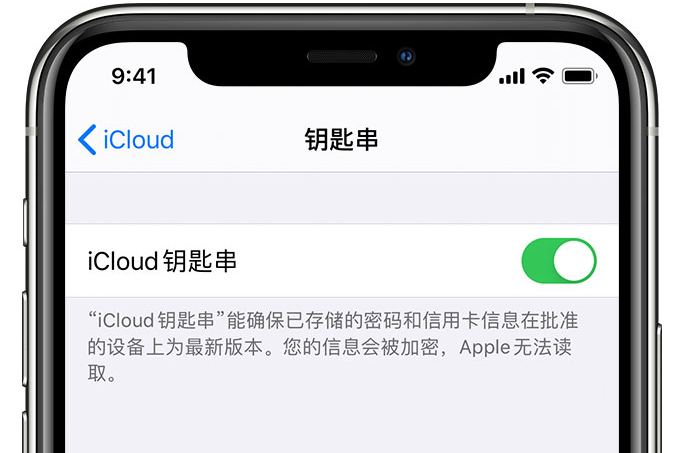 乐东苹果手机维修分享在 iPhone 上开启 iCloud 钥匙串之后会储存哪些信息 