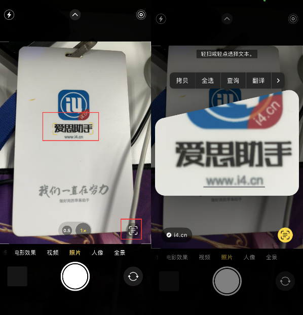乐东苹果手机维修分享升级iOS 16后如何通过相机翻译文本 
