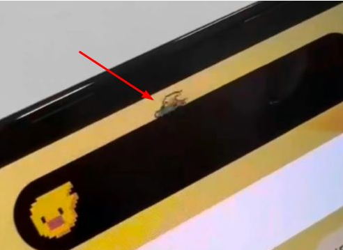 乐东苹果14维修分享iPhone 14 Pro Max灵动岛怎么养宠物 