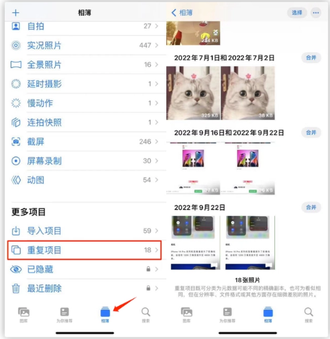 乐东苹果手机维修分享iOS 16 中相册重复项目功能使用方法 
