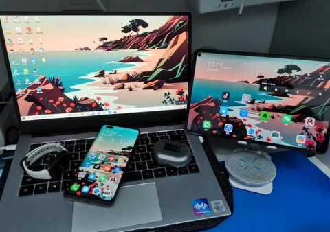 乐东苹果手机维修分享为什么iPad屏幕更大价格却比iPhone低 