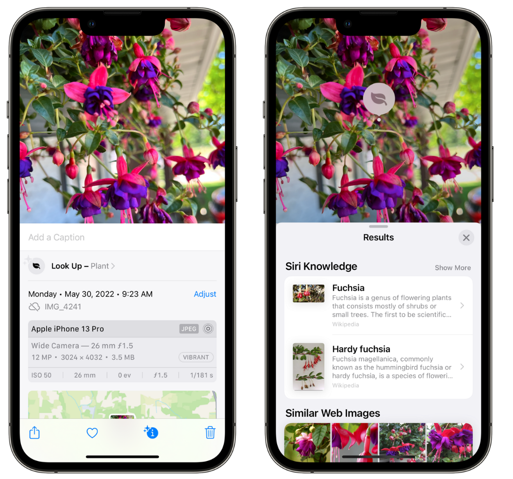 乐东苹果手机维修分享小技巧：使用 iPhone 相机识别花卉植物 