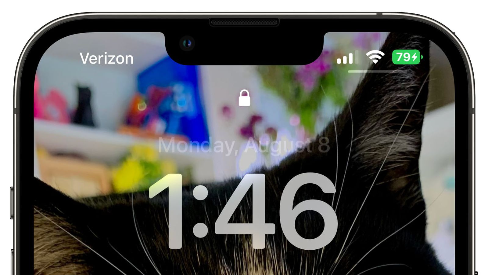 乐东苹果手机维修分享iOS 16 beta 5 支持状态栏显示电池百分比，如何开启？支持哪些机型 