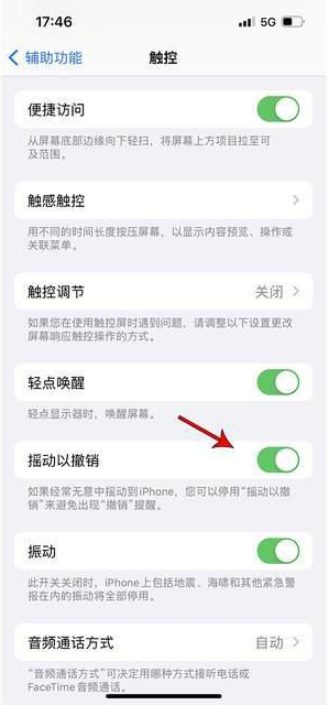 乐东苹果手机维修分享iPhone手机如何设置摇一摇删除文字 