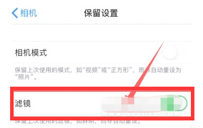 乐东苹果13维修分享iPhone13拍照有绿点是怎么回事 