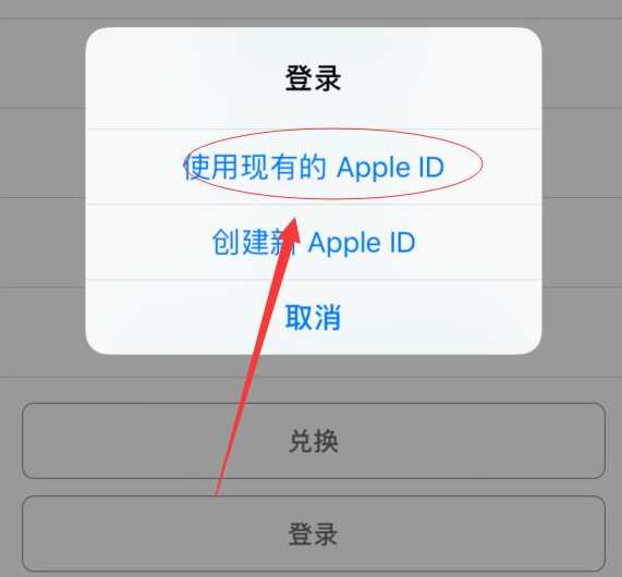 乐东苹果手机维修分享两台iPhone设备可以同时登录一个Apple ID吗 