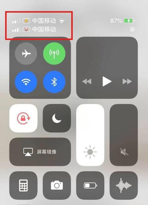 乐东苹果手机维修分享为 iPhone 12 双卡设置标签 
